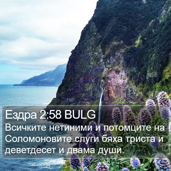 Ездра 2:58 BULG Bible Study