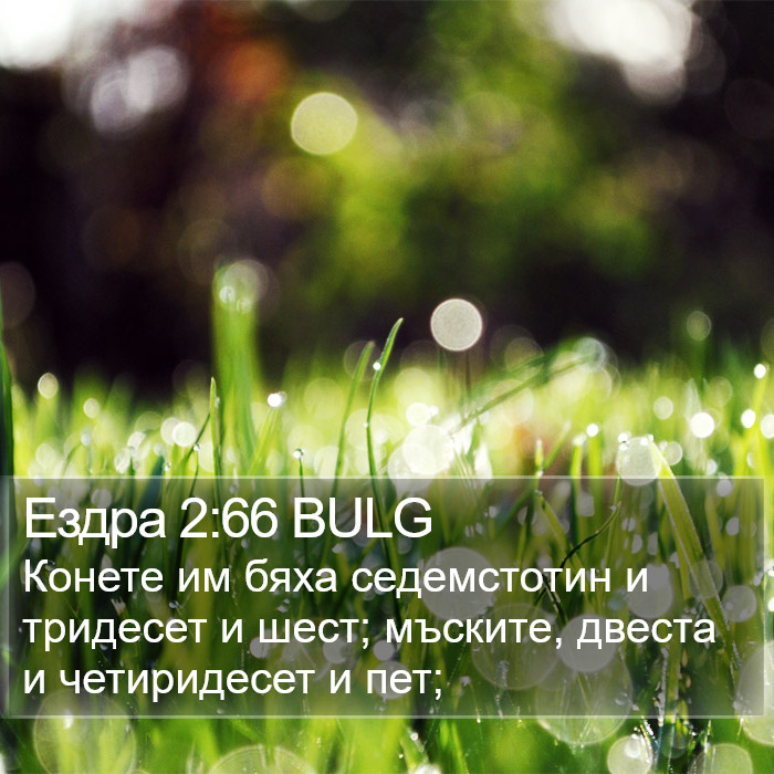 Ездра 2:66 BULG Bible Study