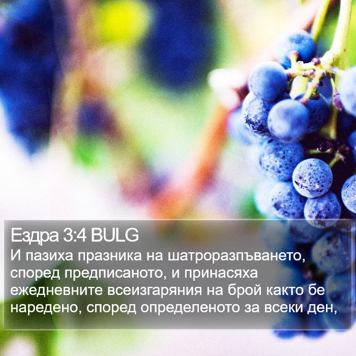 Ездра 3:4 BULG Bible Study