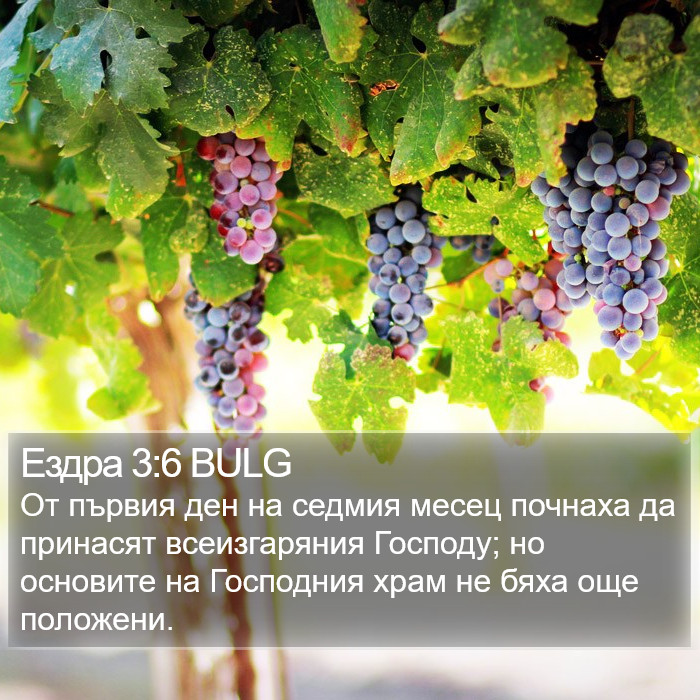 Ездра 3:6 BULG Bible Study