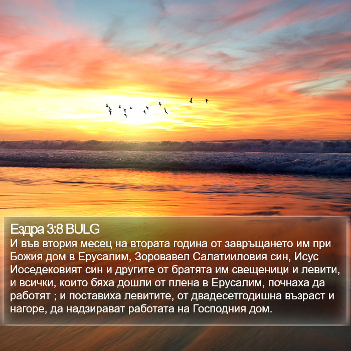 Ездра 3:8 BULG Bible Study