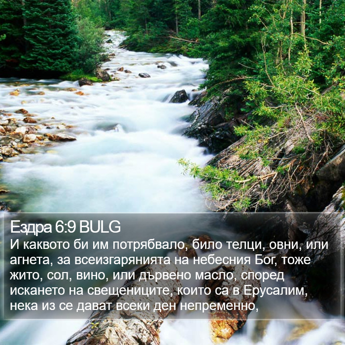 Ездра 6:9 BULG Bible Study