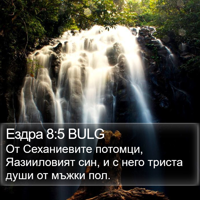 Ездра 8:5 BULG Bible Study