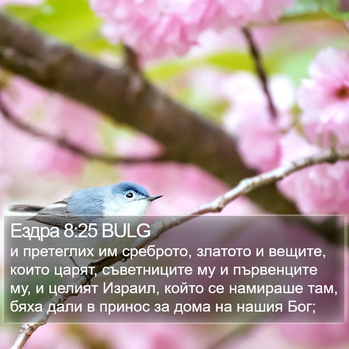 Ездра 8:25 BULG Bible Study