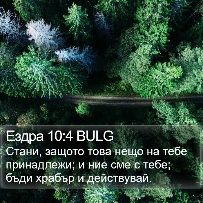 Ездра 10:4 BULG Bible Study