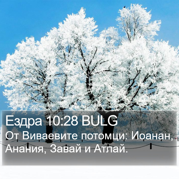 Ездра 10:28 BULG Bible Study