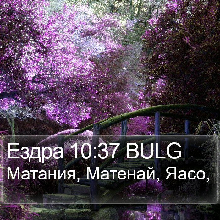 Ездра 10:37 BULG Bible Study