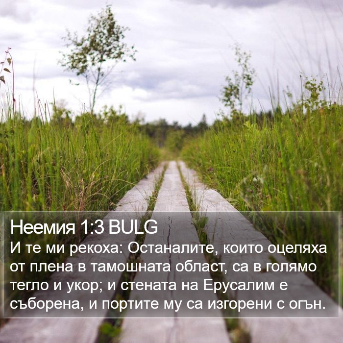 Неемия 1:3 BULG Bible Study