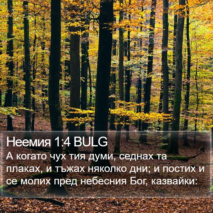 Неемия 1:4 BULG Bible Study