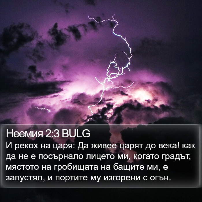 Неемия 2:3 BULG Bible Study