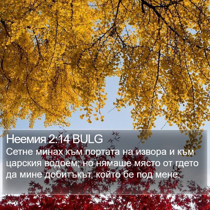 Неемия 2:14 BULG Bible Study