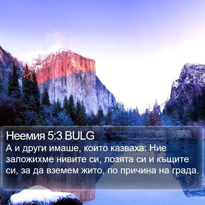 Неемия 5:3 BULG Bible Study