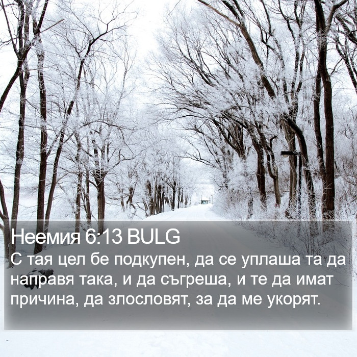 Неемия 6:13 BULG Bible Study