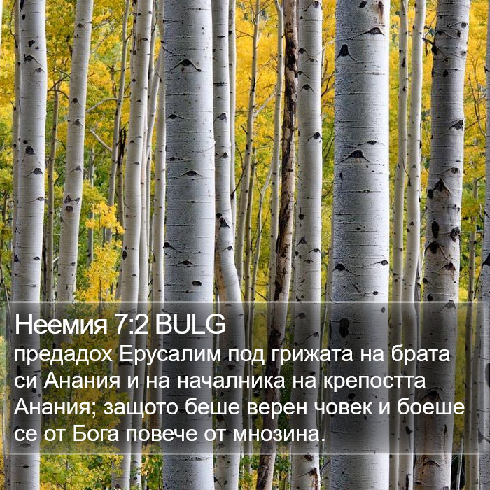 Неемия 7:2 BULG Bible Study