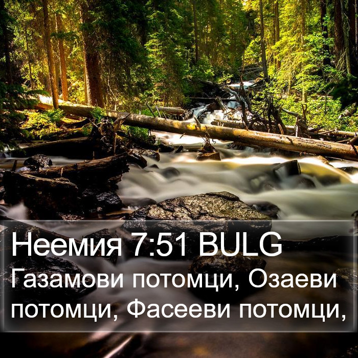 Неемия 7:51 BULG Bible Study