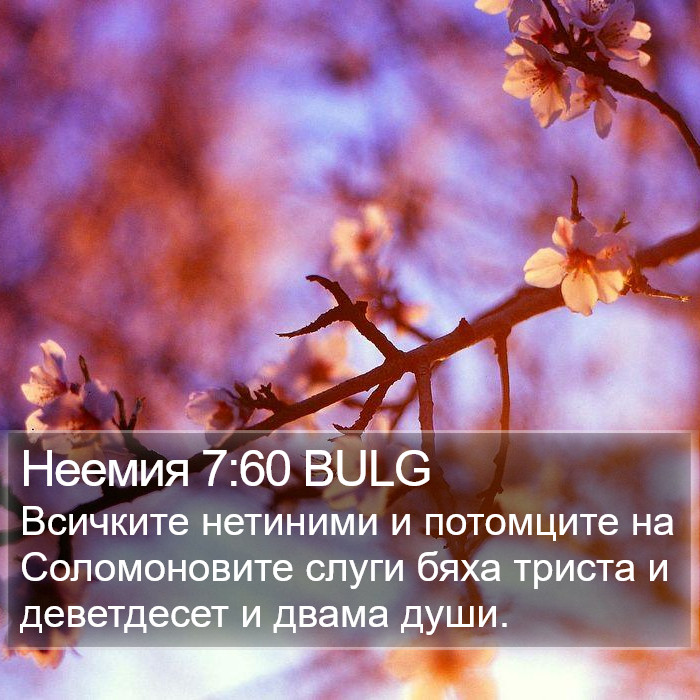 Неемия 7:60 BULG Bible Study