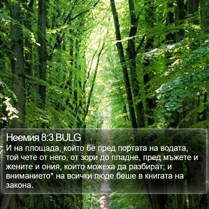 Неемия 8:3 BULG Bible Study
