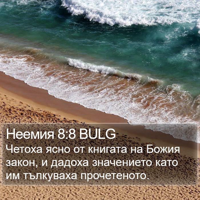 Неемия 8:8 BULG Bible Study