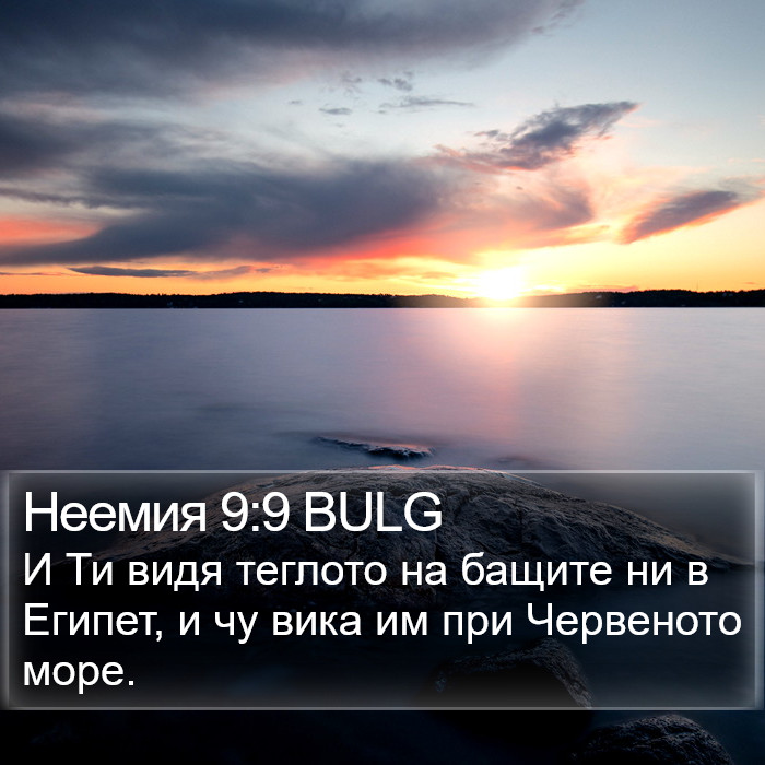 Неемия 9:9 BULG Bible Study