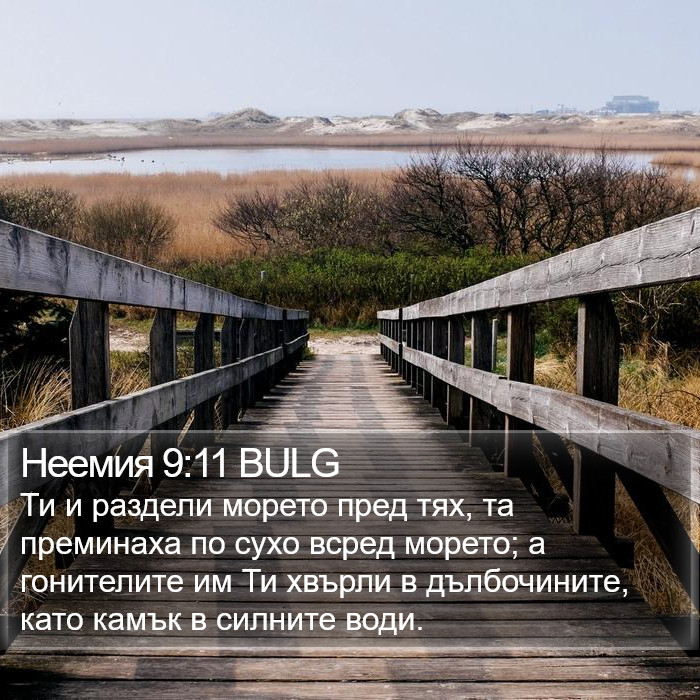 Неемия 9:11 BULG Bible Study