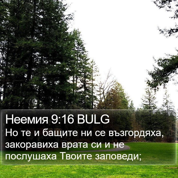 Неемия 9:16 BULG Bible Study