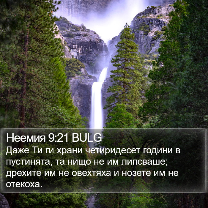 Неемия 9:21 BULG Bible Study