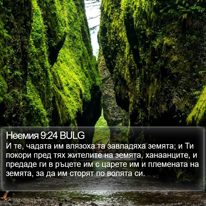 Неемия 9:24 BULG Bible Study