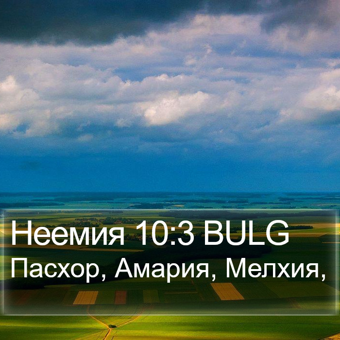 Неемия 10:3 BULG Bible Study