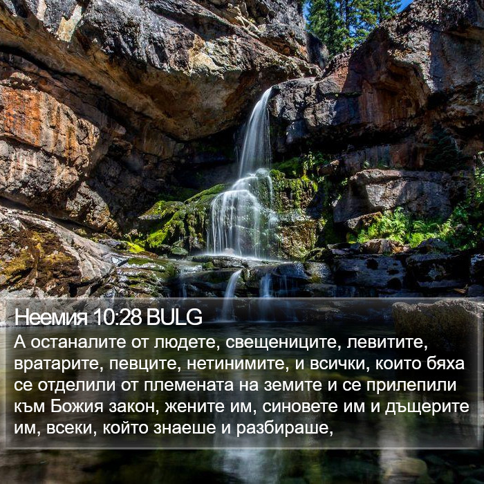 Неемия 10:28 BULG Bible Study