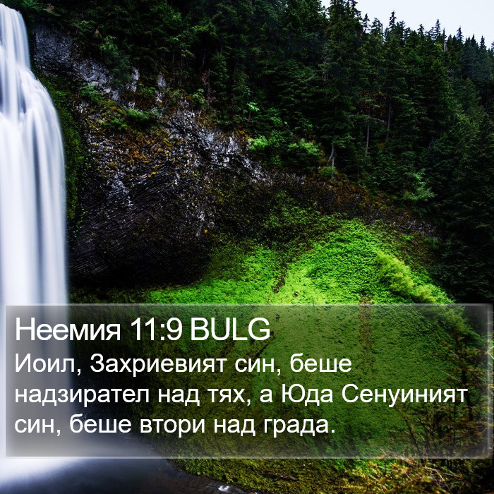 Неемия 11:9 BULG Bible Study