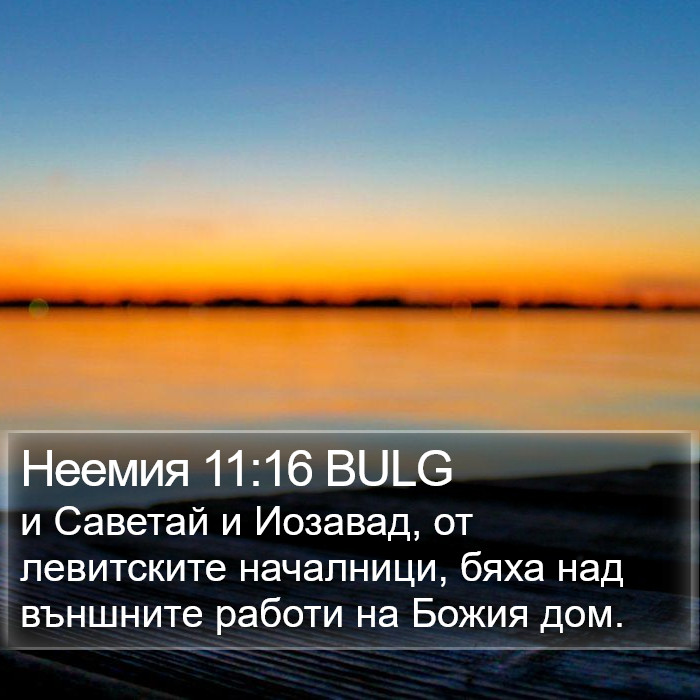 Неемия 11:16 BULG Bible Study