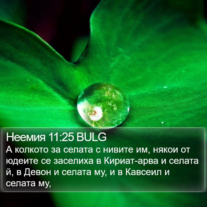 Неемия 11:25 BULG Bible Study