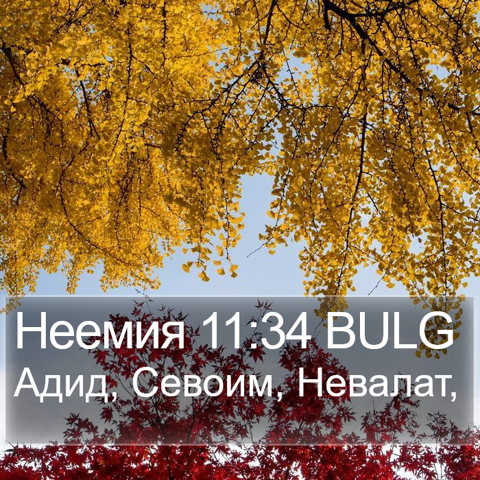 Неемия 11:34 BULG Bible Study