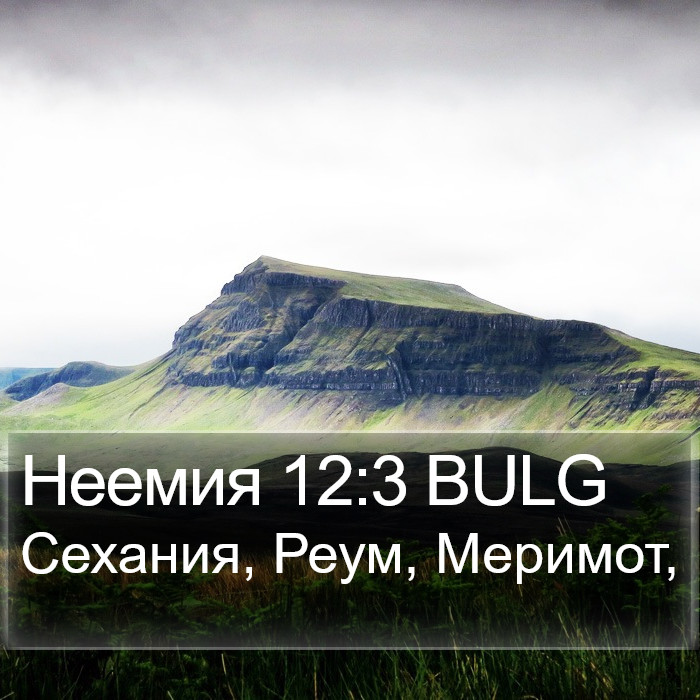 Неемия 12:3 BULG Bible Study