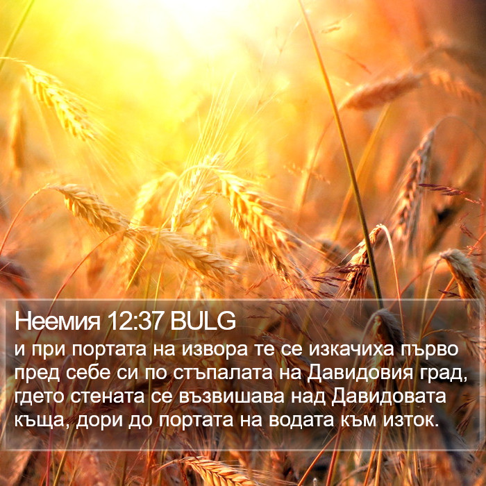 Неемия 12:37 BULG Bible Study