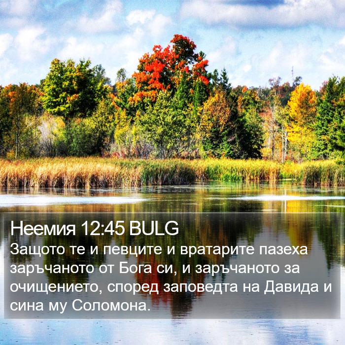 Неемия 12:45 BULG Bible Study