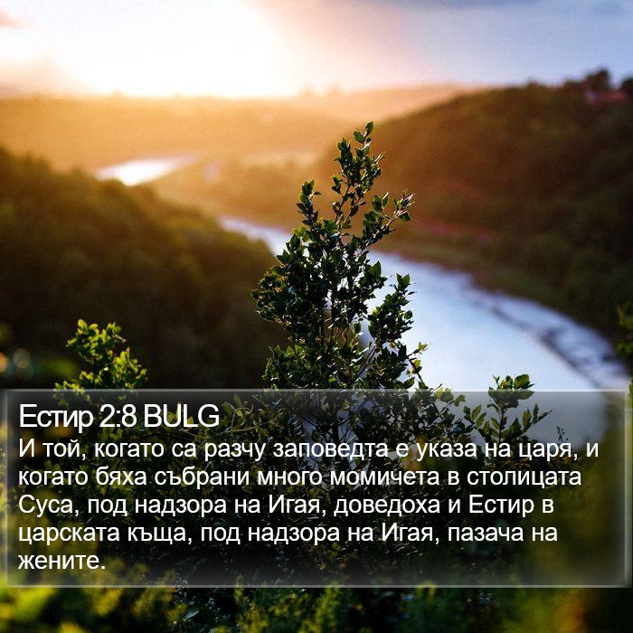 Естир 2:8 BULG Bible Study