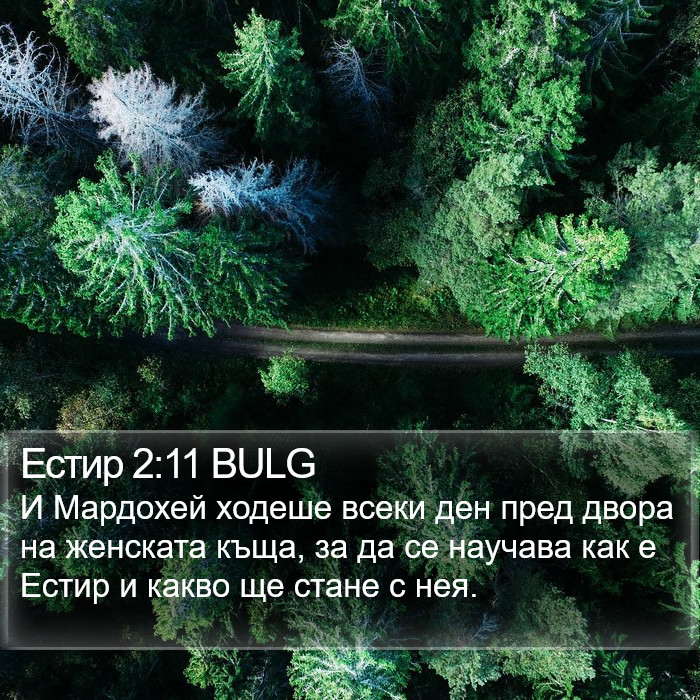 Естир 2:11 BULG Bible Study