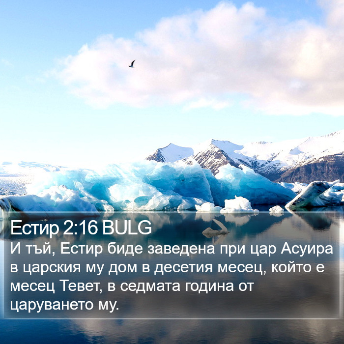 Естир 2:16 BULG Bible Study