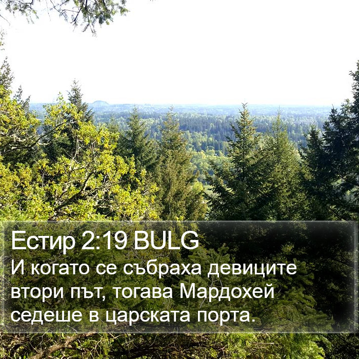 Естир 2:19 BULG Bible Study