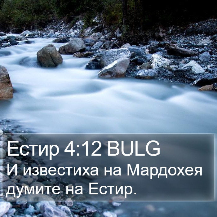 Естир 4:12 BULG Bible Study