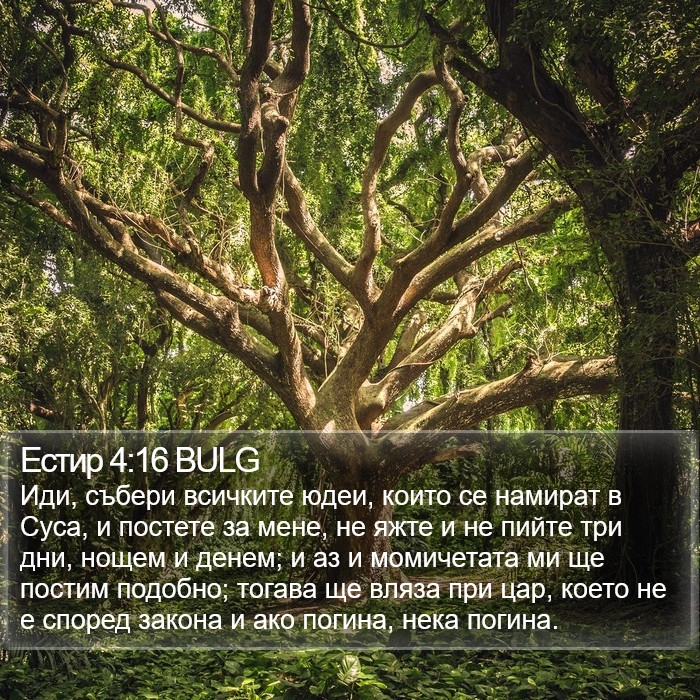 Естир 4:16 BULG Bible Study