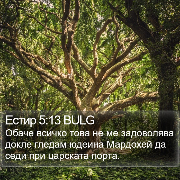 Естир 5:13 BULG Bible Study