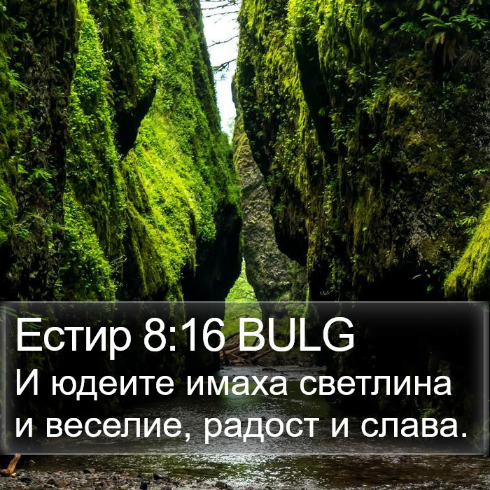 Естир 8:16 BULG Bible Study