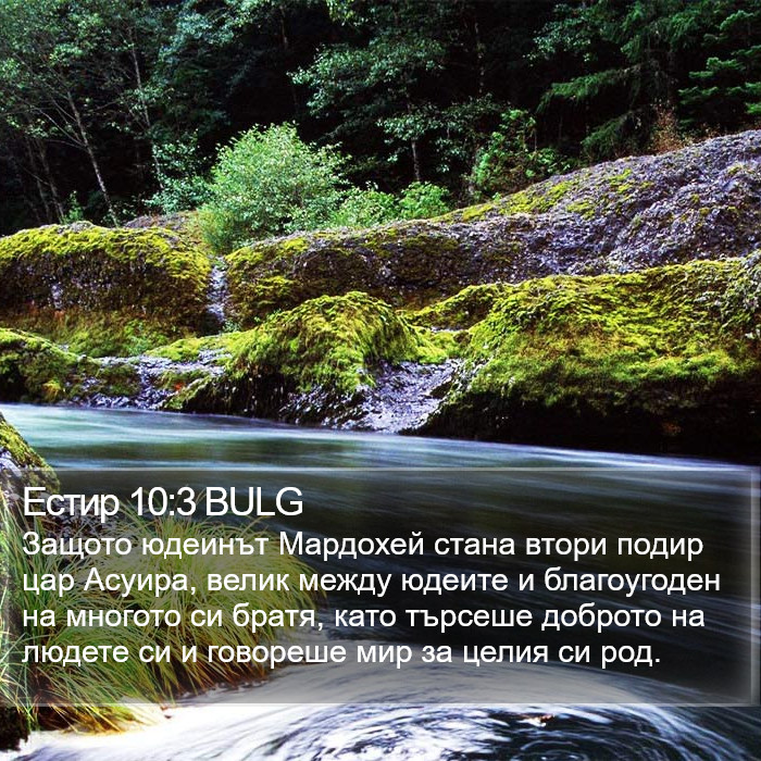 Естир 10:3 BULG Bible Study