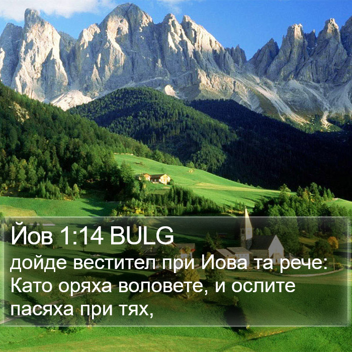 Йов 1:14 BULG Bible Study