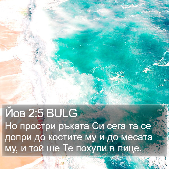 Йов 2:5 BULG Bible Study