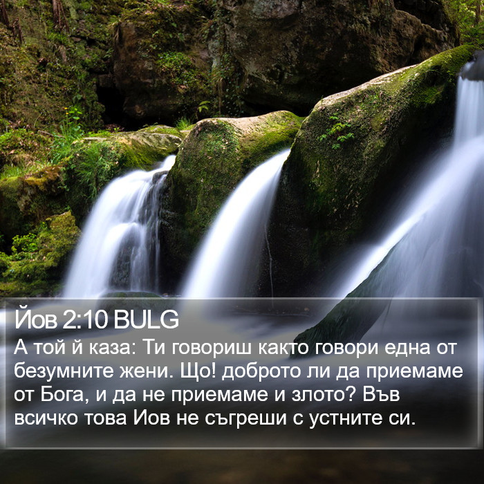 Йов 2:10 BULG Bible Study