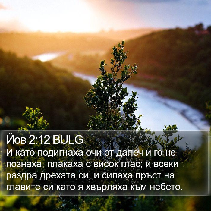 Йов 2:12 BULG Bible Study