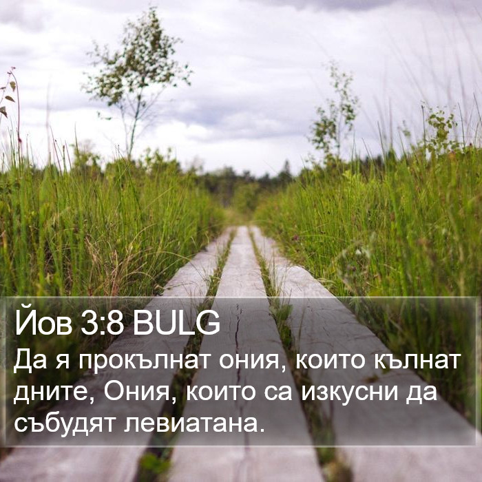 Йов 3:8 BULG Bible Study